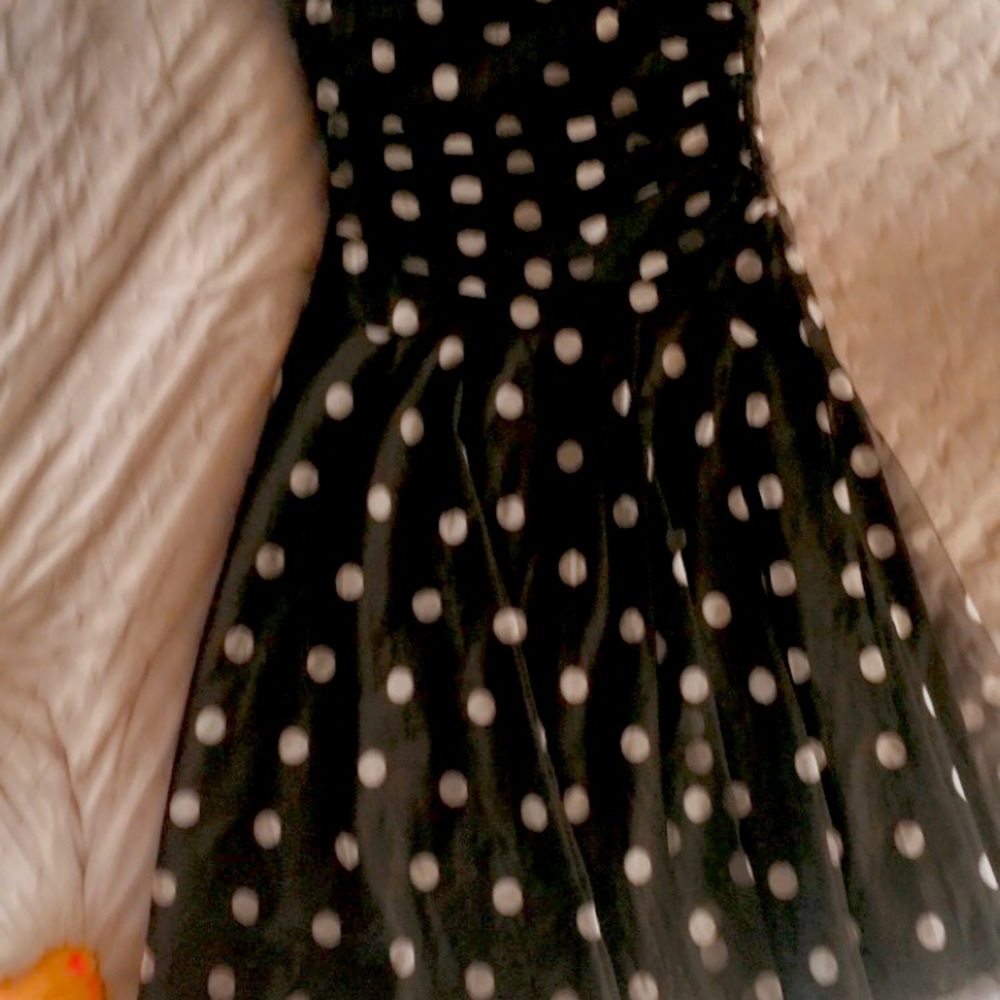 Speechless dress